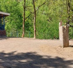 ویلا جنگلی رادوین