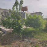 فروش زمین باغ