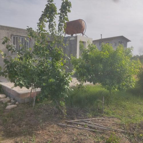 فروش زمین باغ