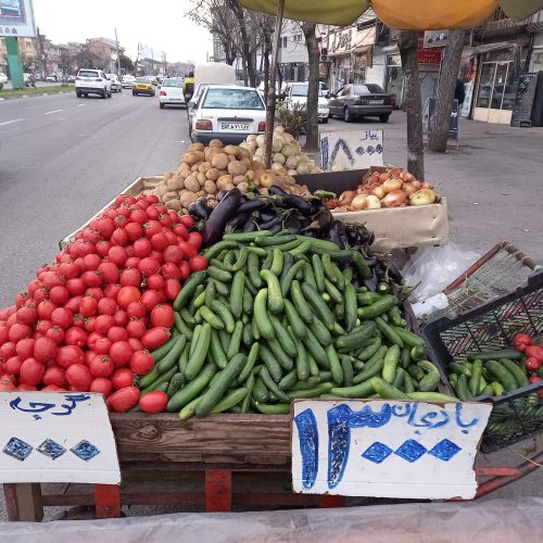 2 عدد گاری چهار چرخ با تجهیزات کامل