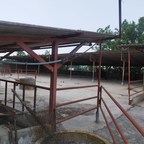 فروش دامداری با تجهیزات کامل