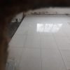 کاشیکاری جوشکاری باغبانی ایزوگام کاری  باغبانی و ابیاری مزارع
