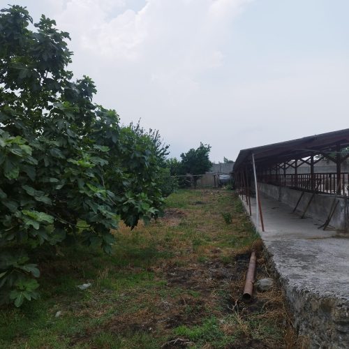 فروش دامداری با تجهیزات کامل