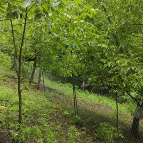 فروش زمین مسکونی