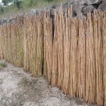 قیم برای گلخانه و نهالستان