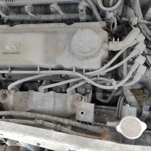ساینا معمولی فروشی