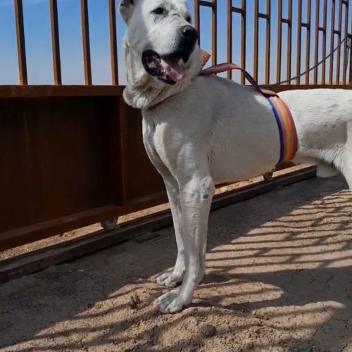 با سلام قصد فروش ندارم فقط معاوضه