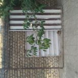 درب حیاط قدیمی