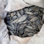 سرب ماهیگیری