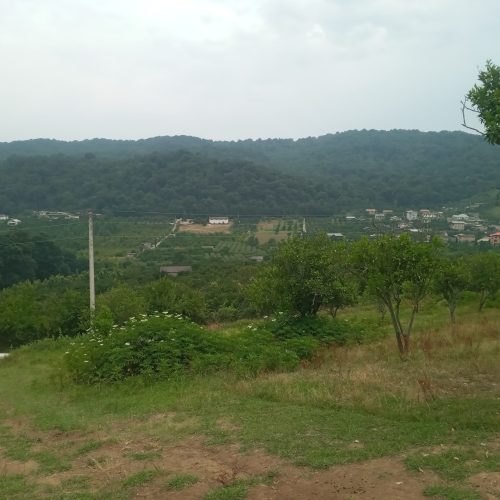 زمین مرزیکلا