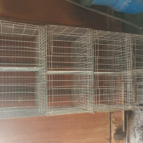 جفت کن کبوتر