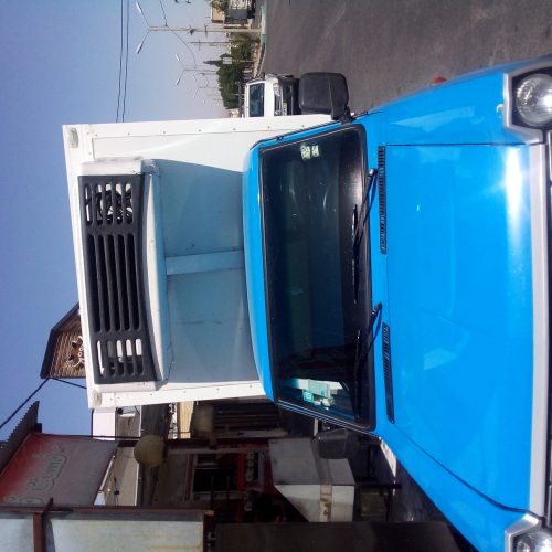 نیسان یخچال دار . صفر