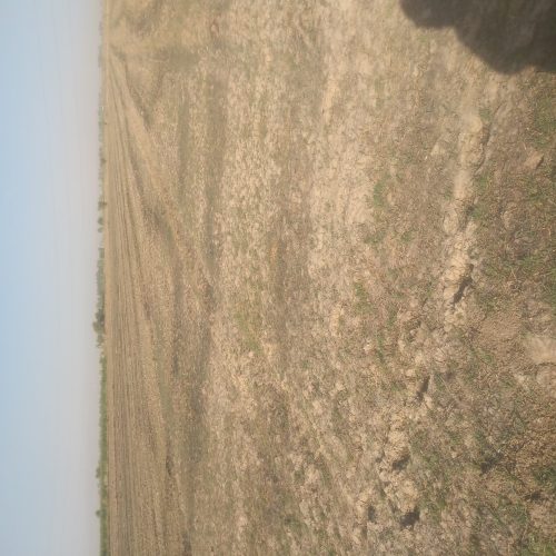 اجاره5هکتار زمین