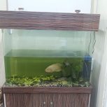 اکواریوم با لوازم