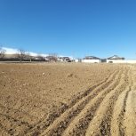 زمین با چشم انداز عالی