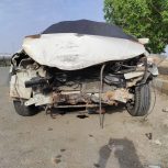 ساینا معمولی فروشی