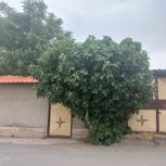 فروش خانه مسکونی_حیاط دار
