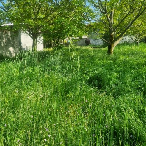 فروش زمین داخل طرح هادی