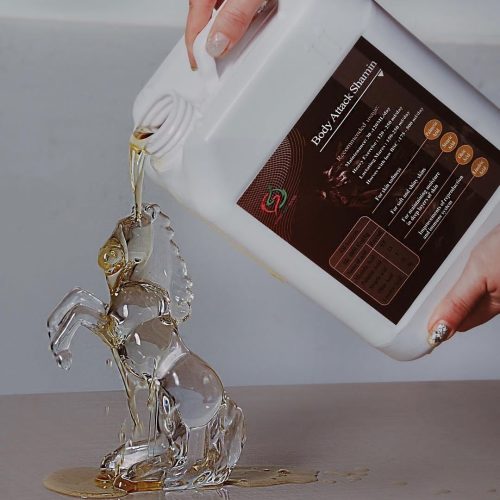 فروش کنسانتر اجیلی و مکمل جهت اسبهای ورزشی