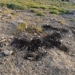 زرگان کوی فدک