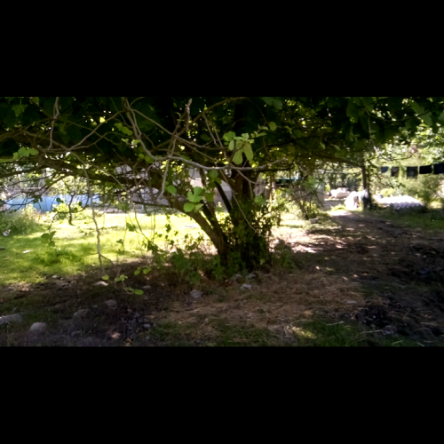 فروش خانه ویلایی با حیاط