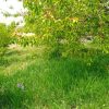 فروش باغ و قطعه ویلایی