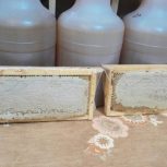 عسل طبیعی مسمّا. عرضه مستقیم از زنبور دار