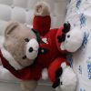 عروسک خرس قرمز