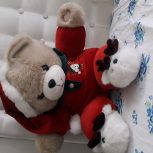 عروسک خرس قرمز