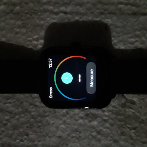 ساعت مچیAMAZFITPRO