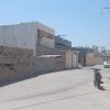 زمین سند دار تک برگ