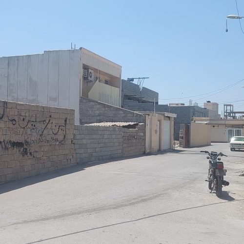 زمین سند دار تک برگ