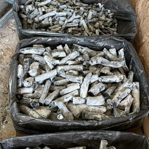 تولید و پخش عمده انواع ذغال با بهترین کیفیت