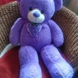 عروسک خرسی و دختر