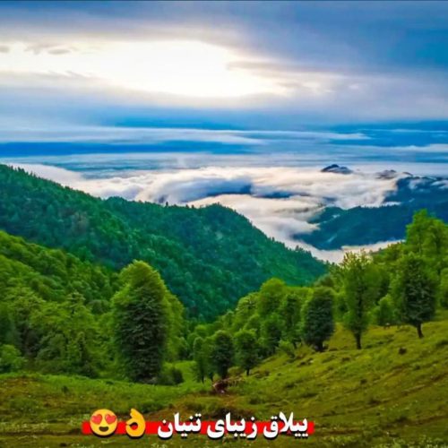 اجاره ویلا روزانه
