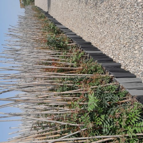 قیم برای گلخانه و نهالستان