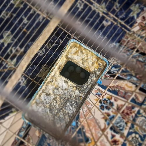 یک جفت مرغ عشق به شرط تخم