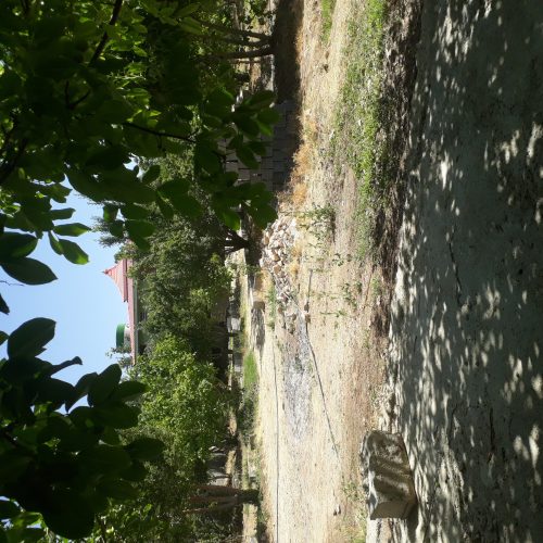 فروش یک قطعه باغ