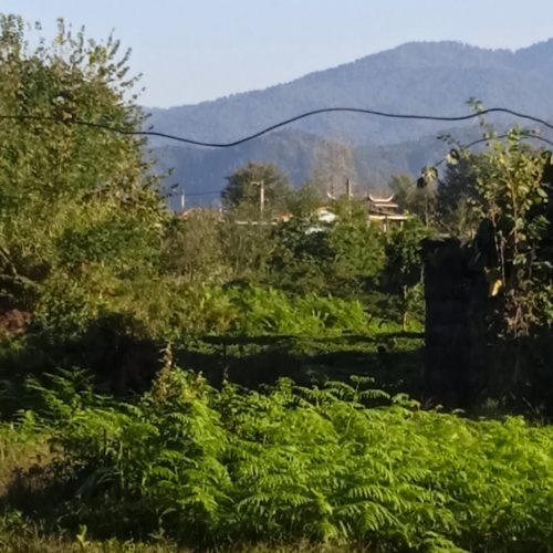فروش زمین