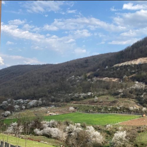 فروش زمین باغی