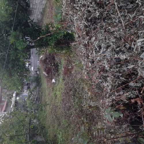 زمینی با مساحت 142  به فروش میرسد