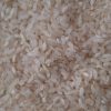 برنج کامفیروزی چمپا نو بشرط پخت