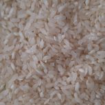 برنج کامفیروزی چمپا نو بشرط پخت