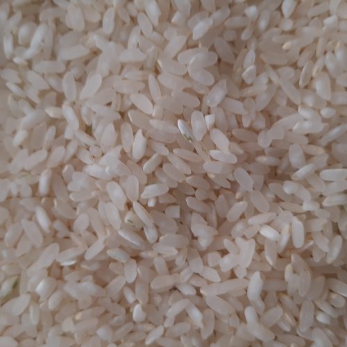 برنج کامفیروزی چمپا نو بشرط پخت