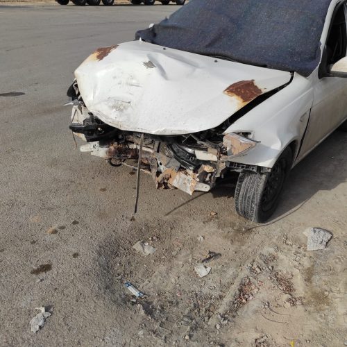 ساینا معمولی فروشی