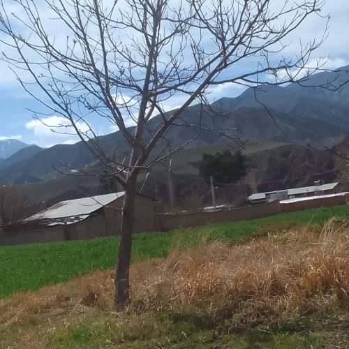 زمین 200 متری در الموت قزوین(رجائی دشت)