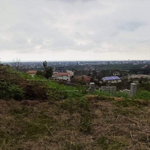 301متر زمین بافت سند تک برگ