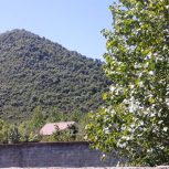 اجاره ویلایی