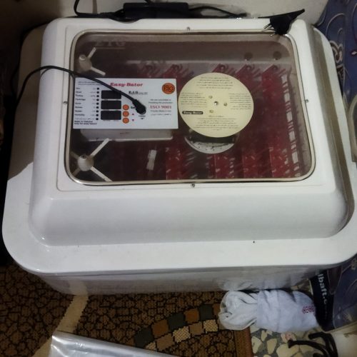 دستگاه جوجه کشی