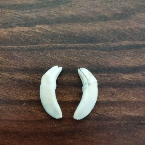 فال دعا بخت گشایی تضمینی